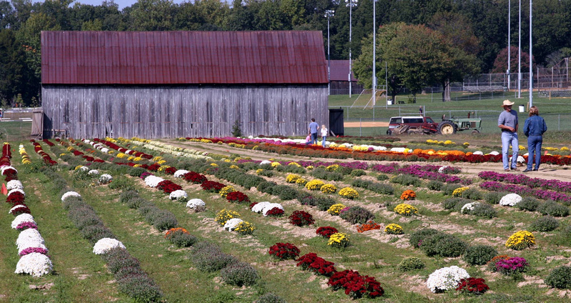 p233315697-4.jpg