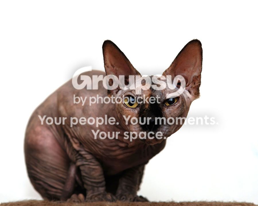 DSC_9491_resize_zps449a51ba.jpg