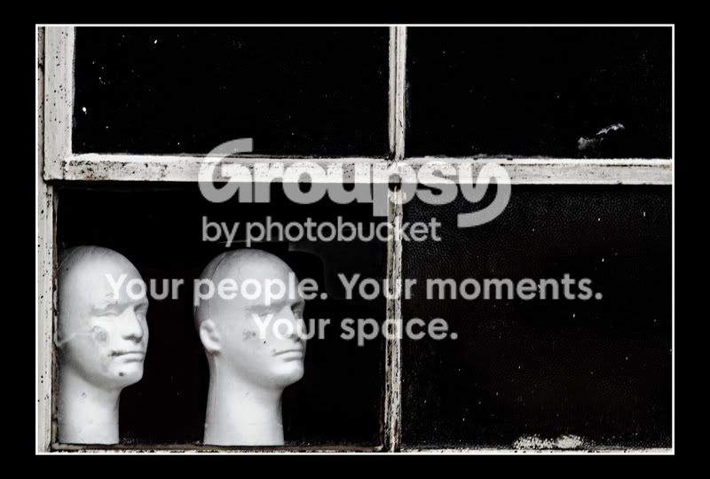 headswbo.jpg
