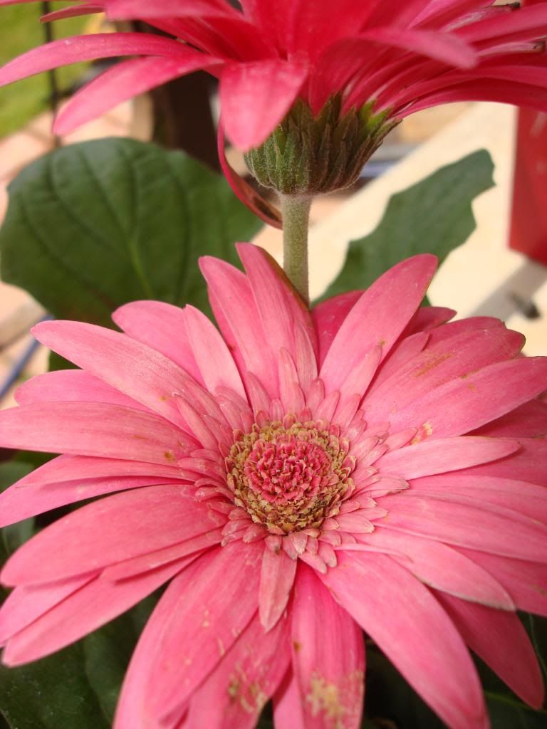 DSC03405.jpg