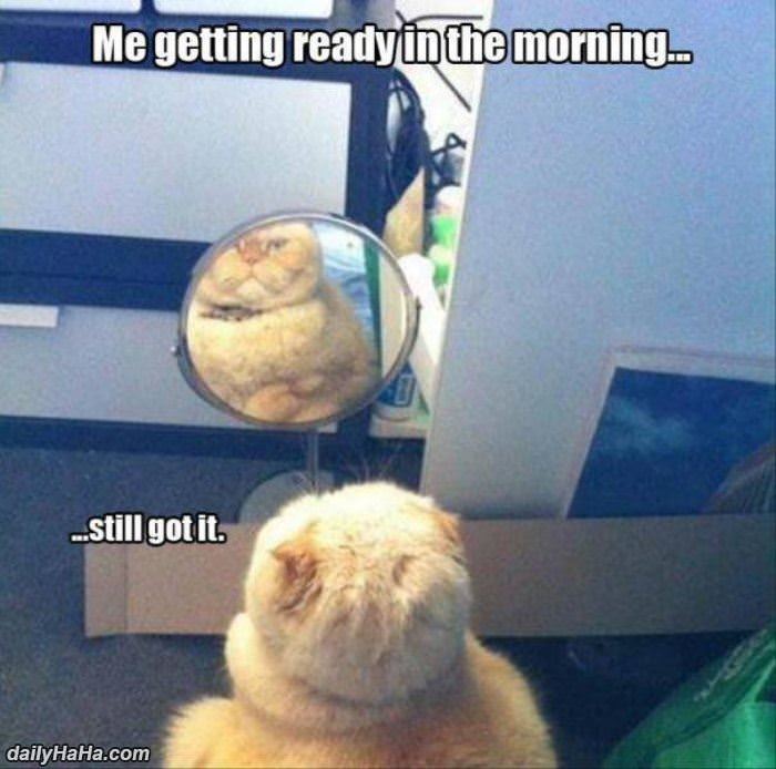 getting_ready_in_the_morning.jpg