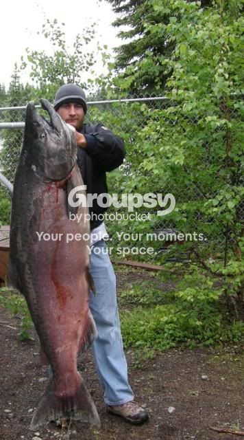 ReelBigSalmon.jpg