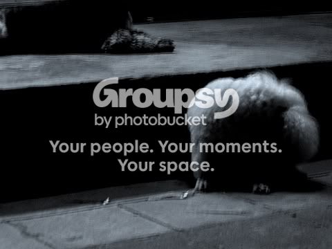 Picture459-1.jpg