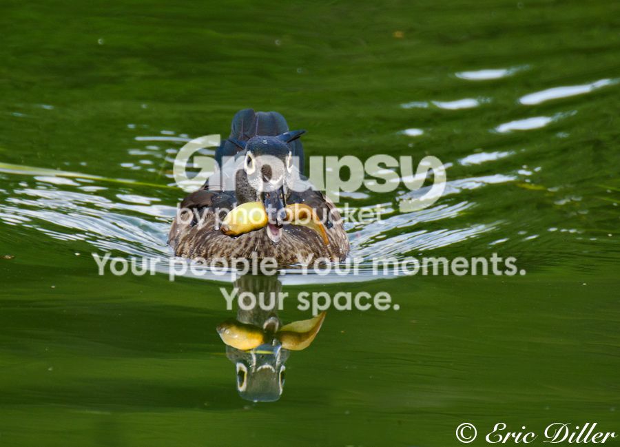 _ECD9939-copy900.jpg