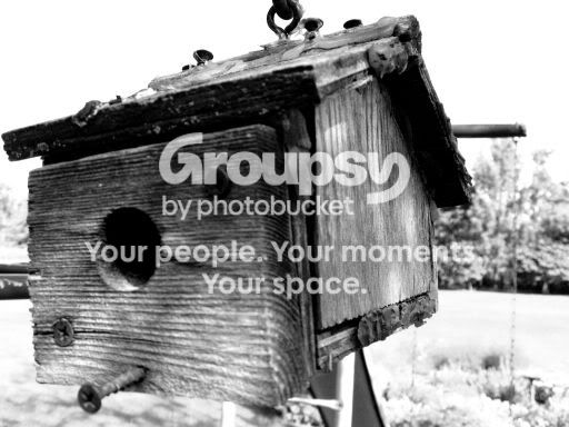 IMG_19421.jpg