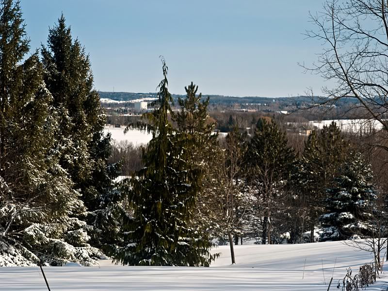 P1050611sm.jpg