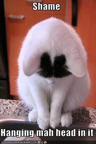 HangingHeadinShame_zps6318a55a.jpg