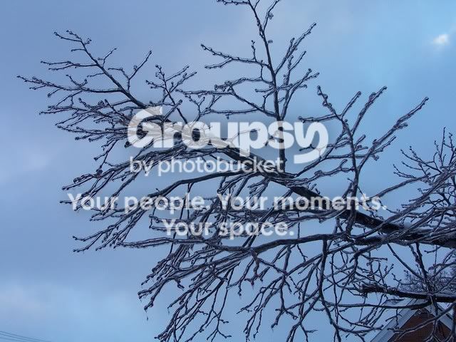100_2051.jpg