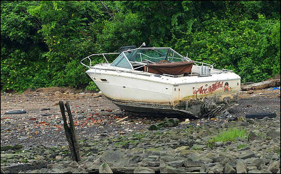 p896478286-3.jpg