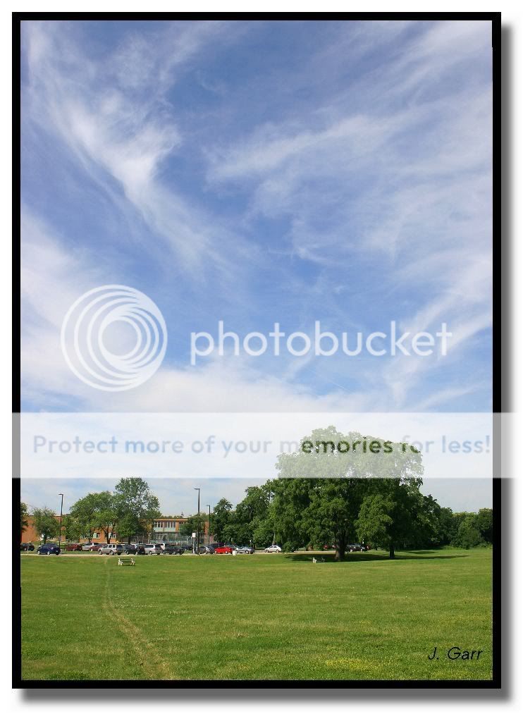 beautifulday2.jpg