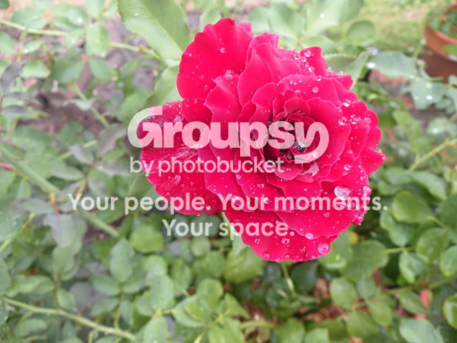 DSCN3797.jpg