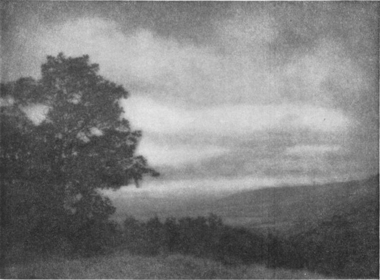 wasatch.jpg