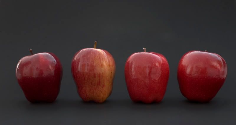 WEBAPPLE.jpg