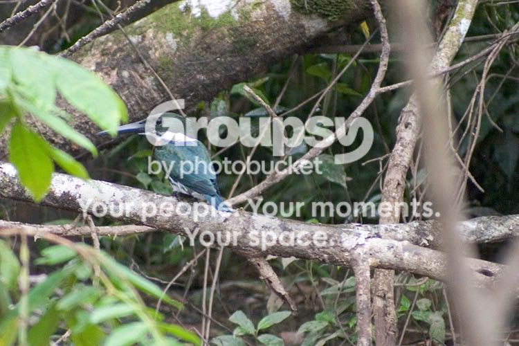 CR-039-web.jpg