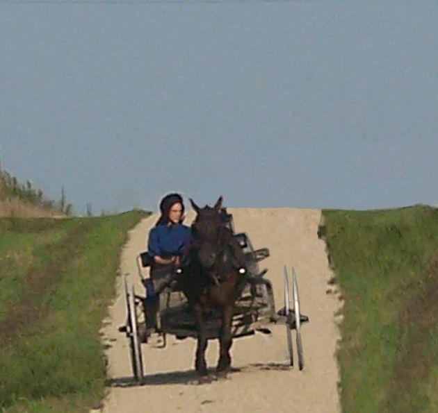 amish2.jpg