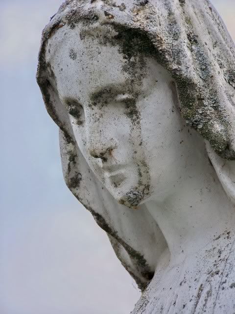 VirginMary1.jpg