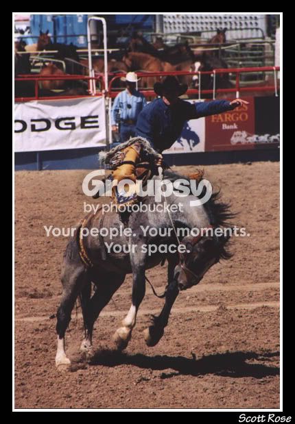 rodeo.jpg