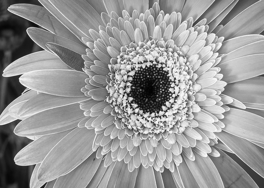 10920893564_5302ab68bb_b.jpg
