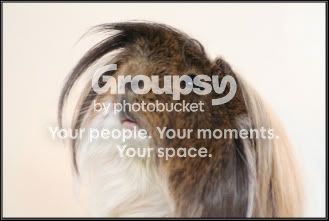 FluffyLook.jpg