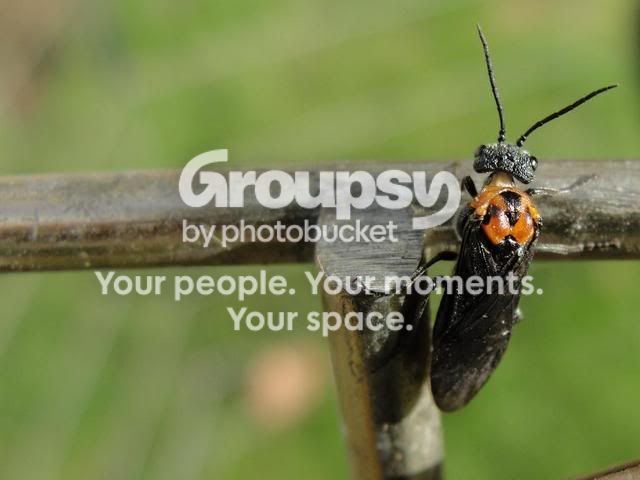 jayjayphotos002.jpg