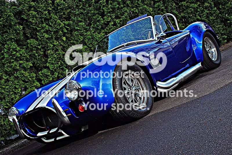 Cobra.jpg
