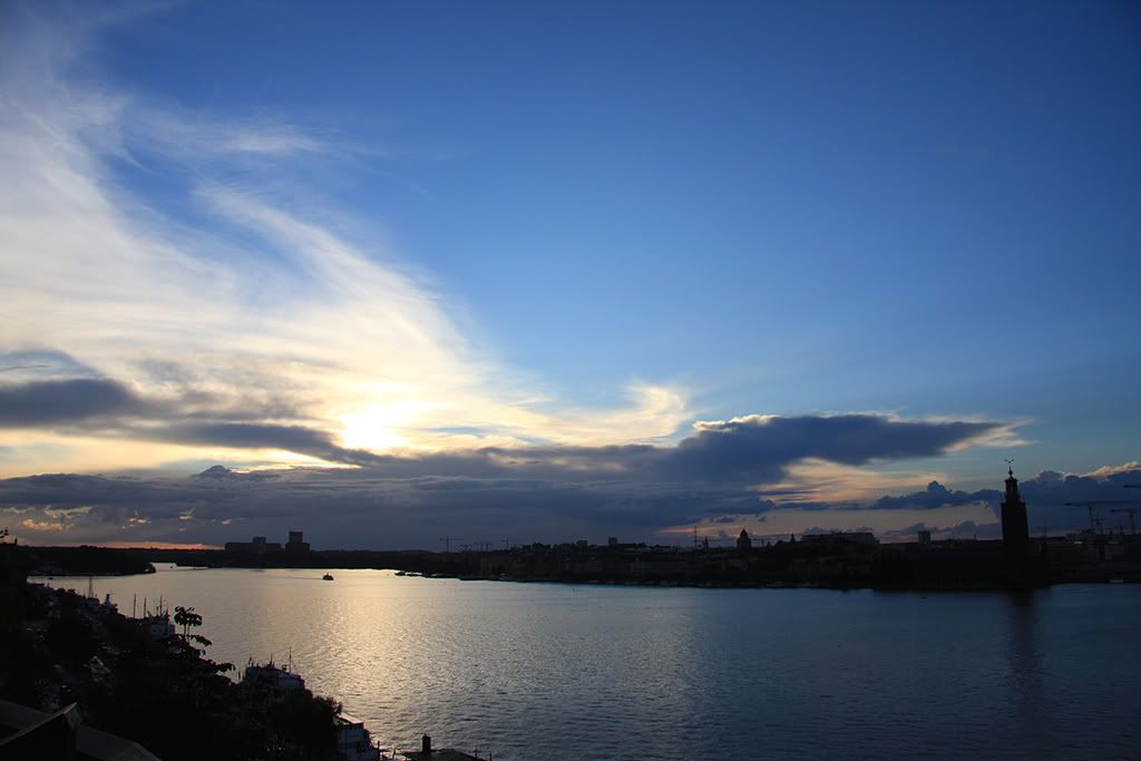 IMG735c.jpg
