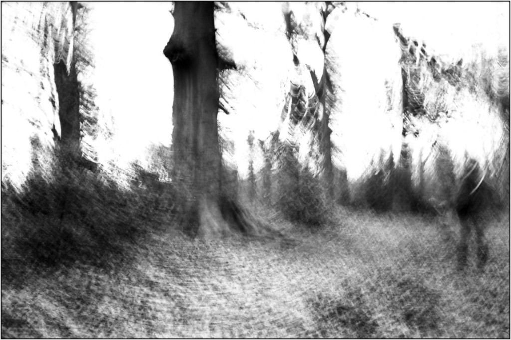 scan214dev-XL.jpg
