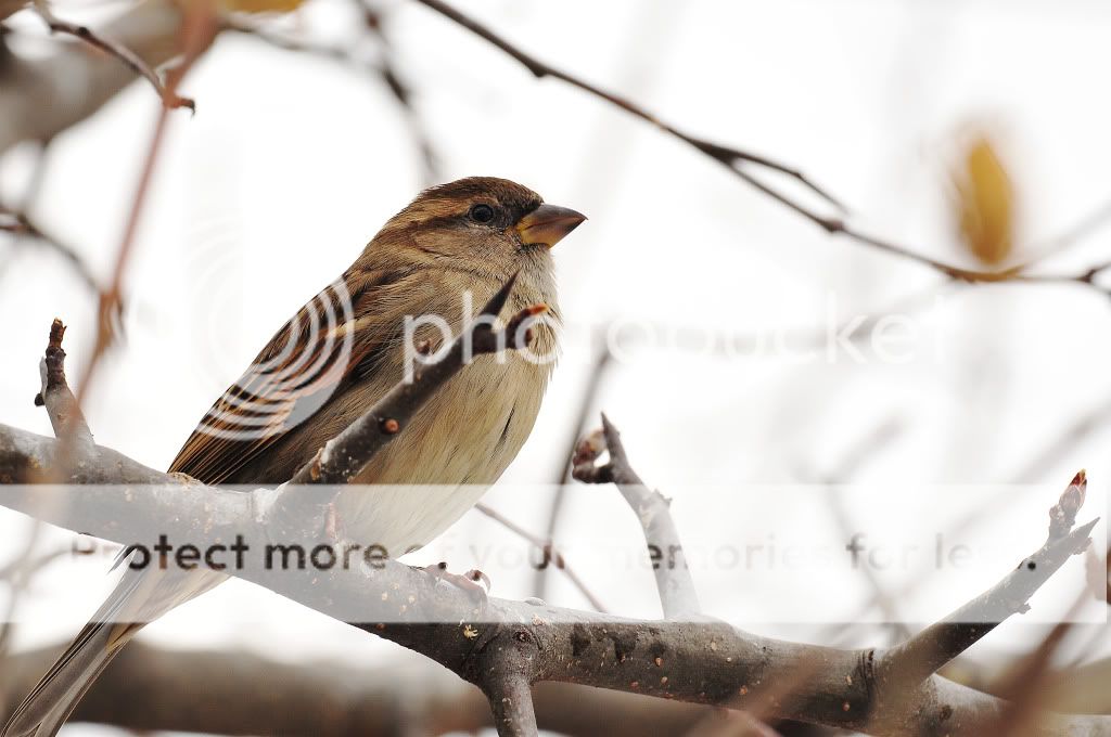 DSC_5688.jpg