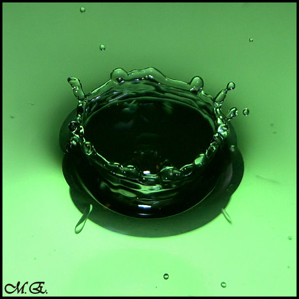 4301723532_9c60ee3cc4_o.jpg