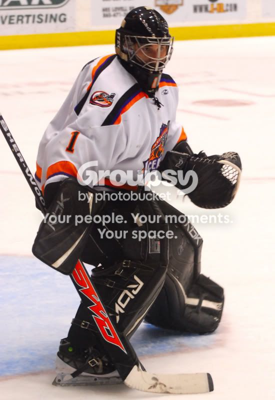 IceBears0980001.jpg