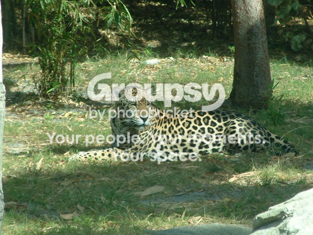 DSCF2758.jpg