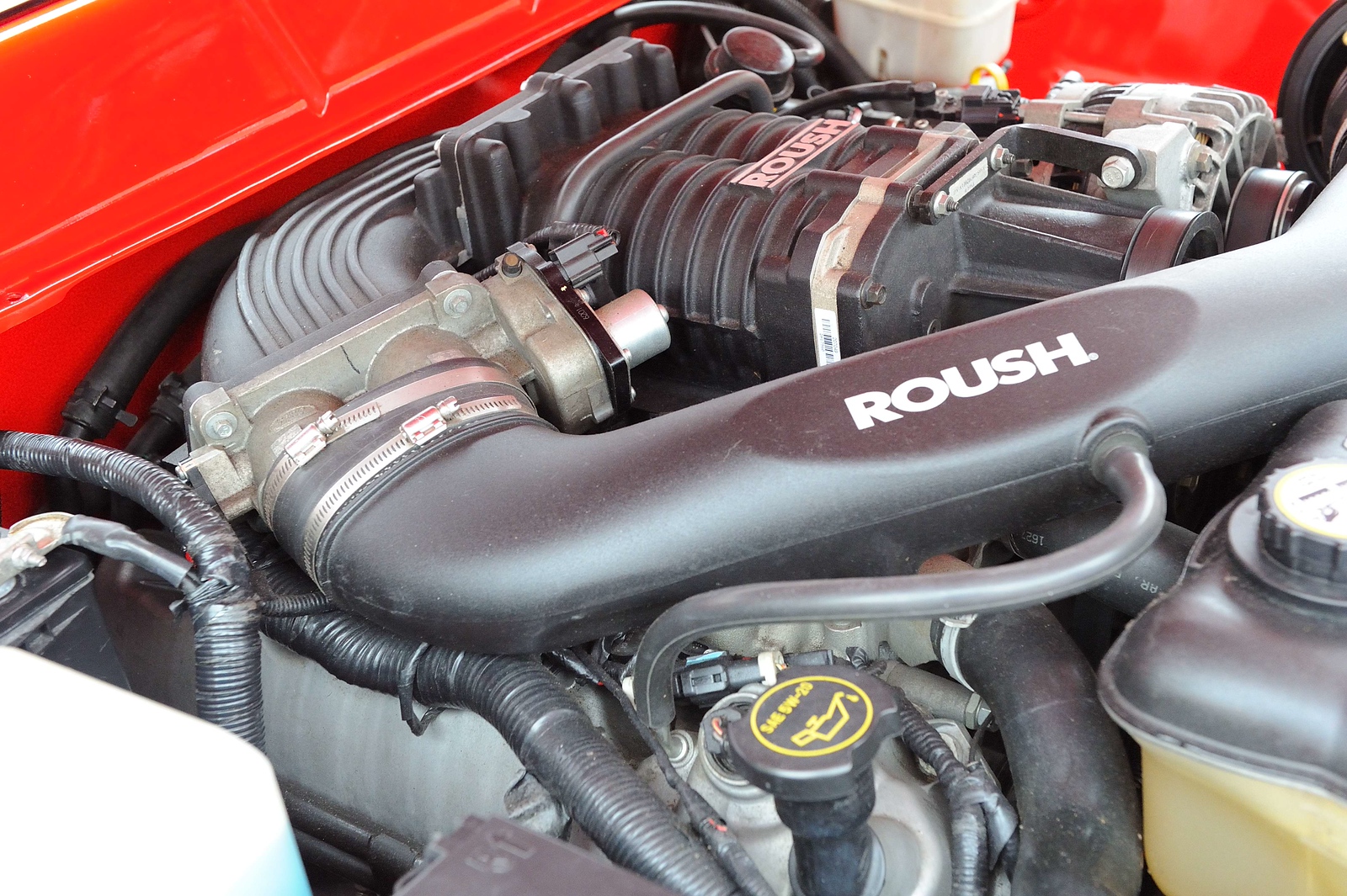 DSC_00272-X3.jpg