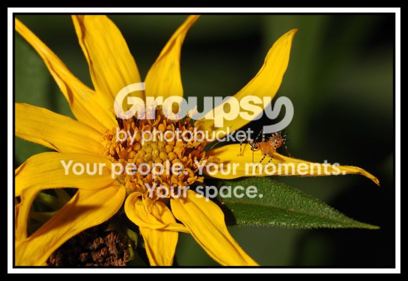 2008-08-08_2web.jpg