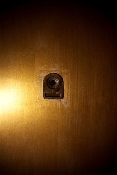 IMG_1522Medium.jpg
