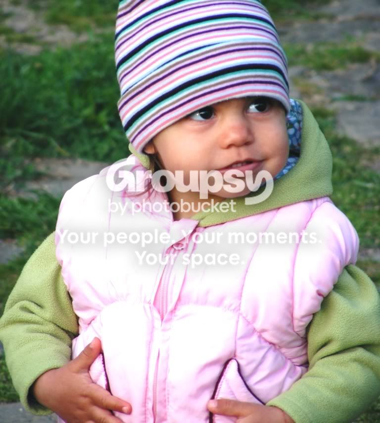 DSCF8351.jpg