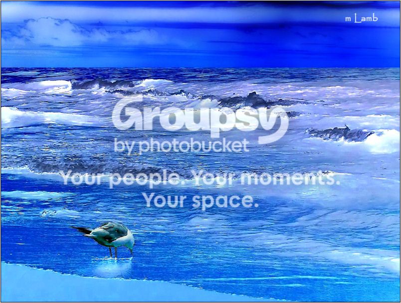 Blue800_zpsb8944b43.jpg