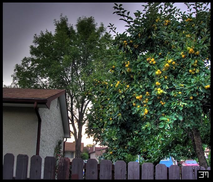 HDR6.jpg