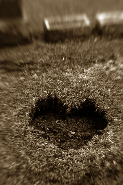 106544196_e9deb152f6_o.jpg