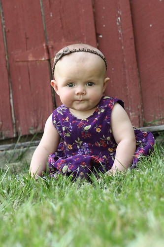7186633253_67d83dfce6.jpg