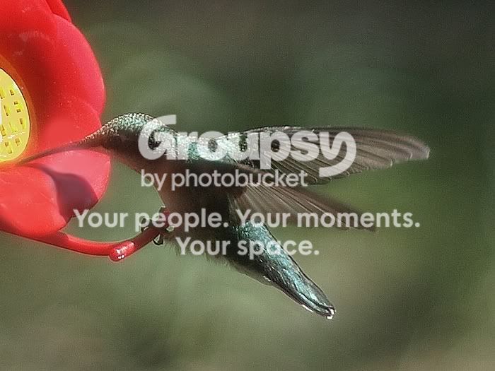 HummerReprocess.jpg