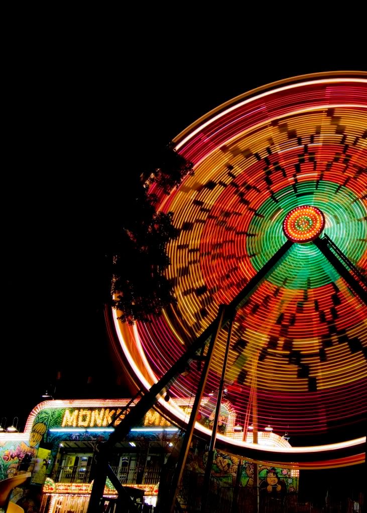 DogwoodFair-4540.jpg