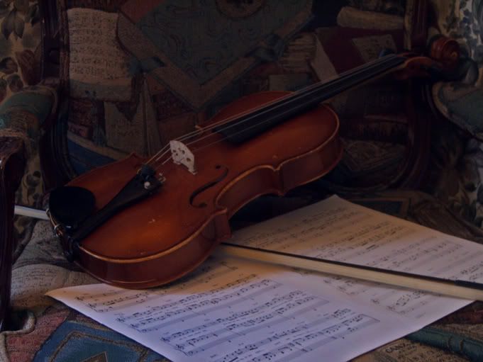 violin2.jpg