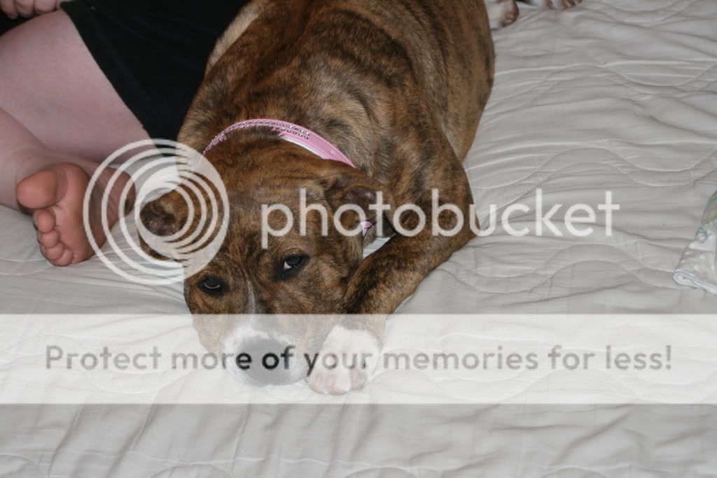 IMG_4325.jpg