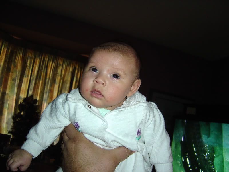 DSC083180875websize.jpg