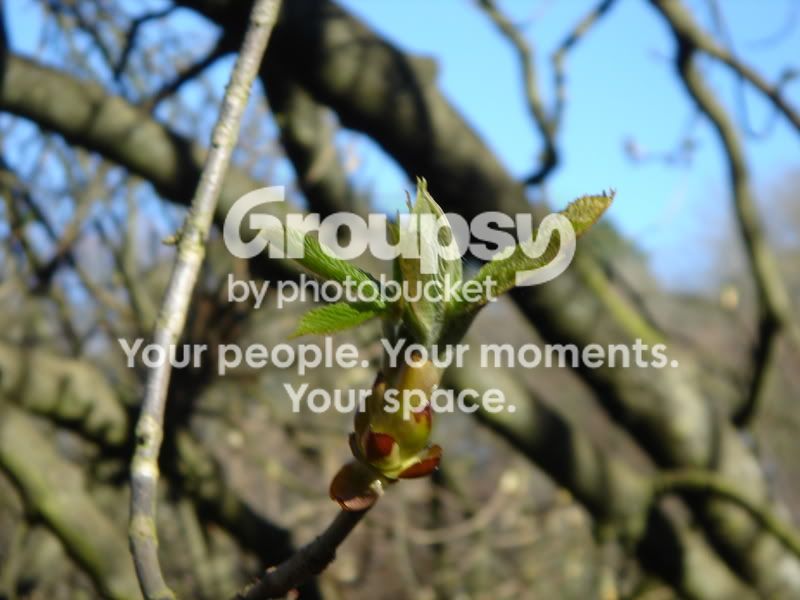 walkyday025.jpg