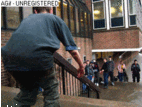 will.gif