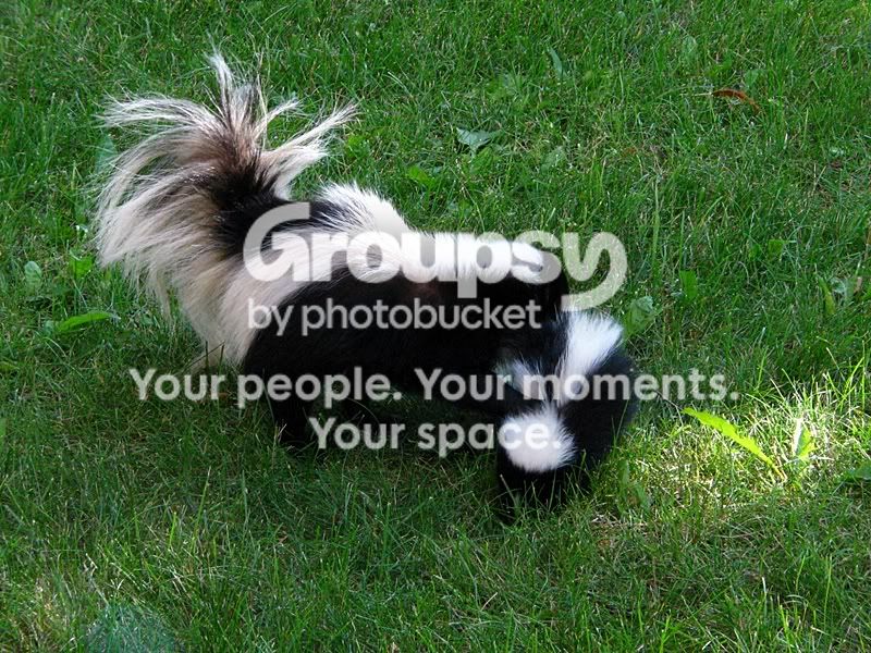 IMG_4235Sm.jpg