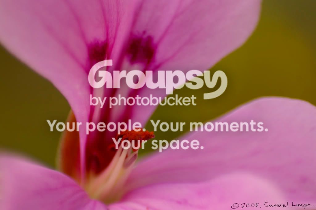 _IGP6438.jpg