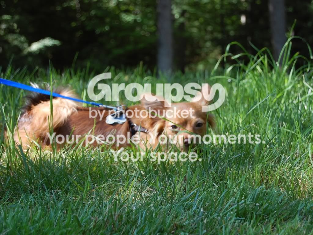 CSC_0042.jpg