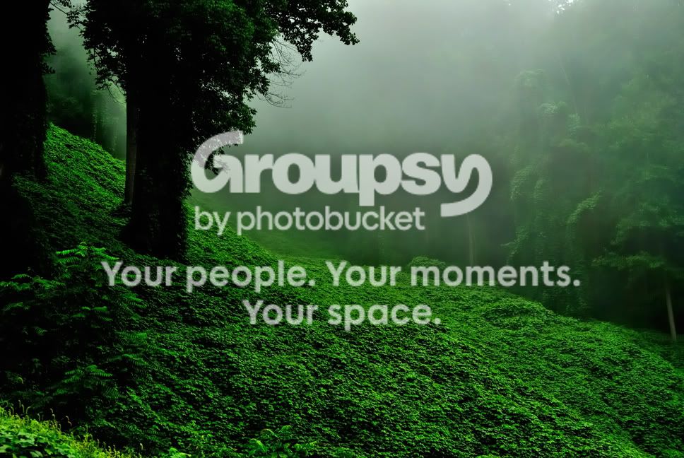 kudzu.jpg